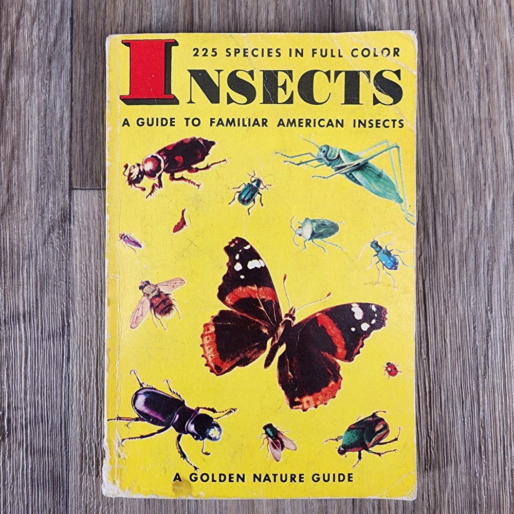 Vintage 1956 Insects Golden Nature Guide Book Zim Cottam 225 Species Full Color